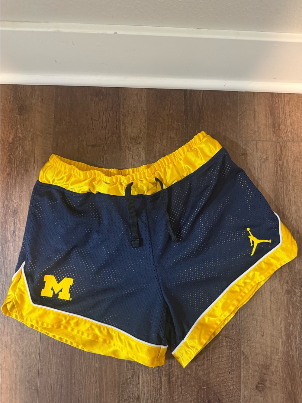 Jordan Brand University Of Michigan Women’s Basketball Shorts - Size Small